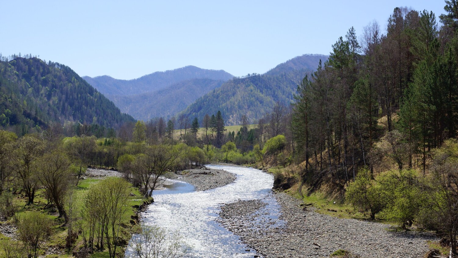 Photo #13416506