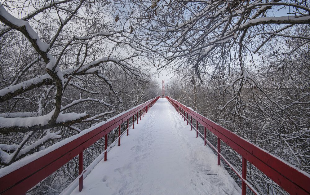 Фотография автора ПУЗЕНКО ДМИТРИЙ