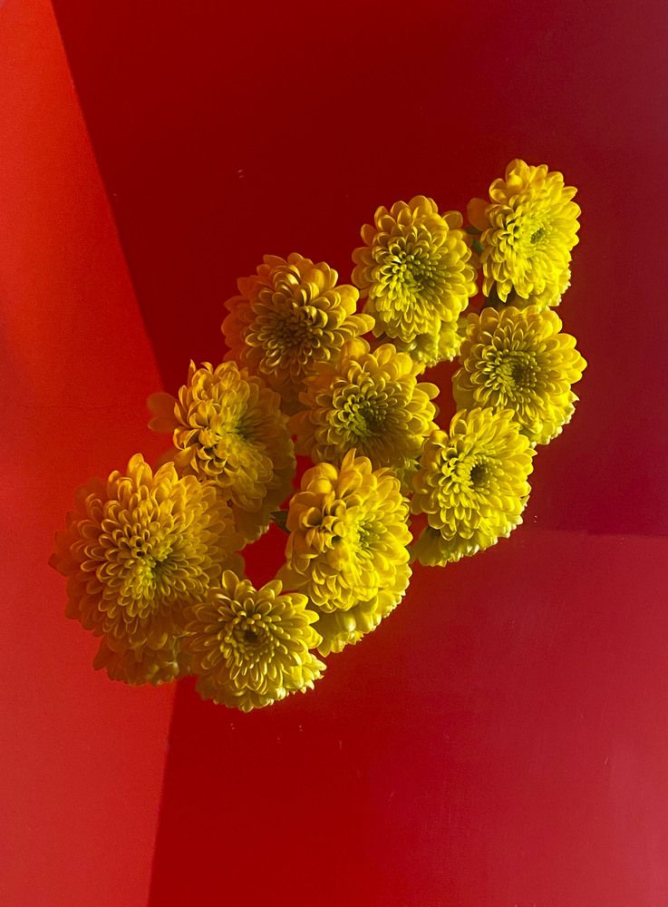 Photograph by Tatiana Kovaleva