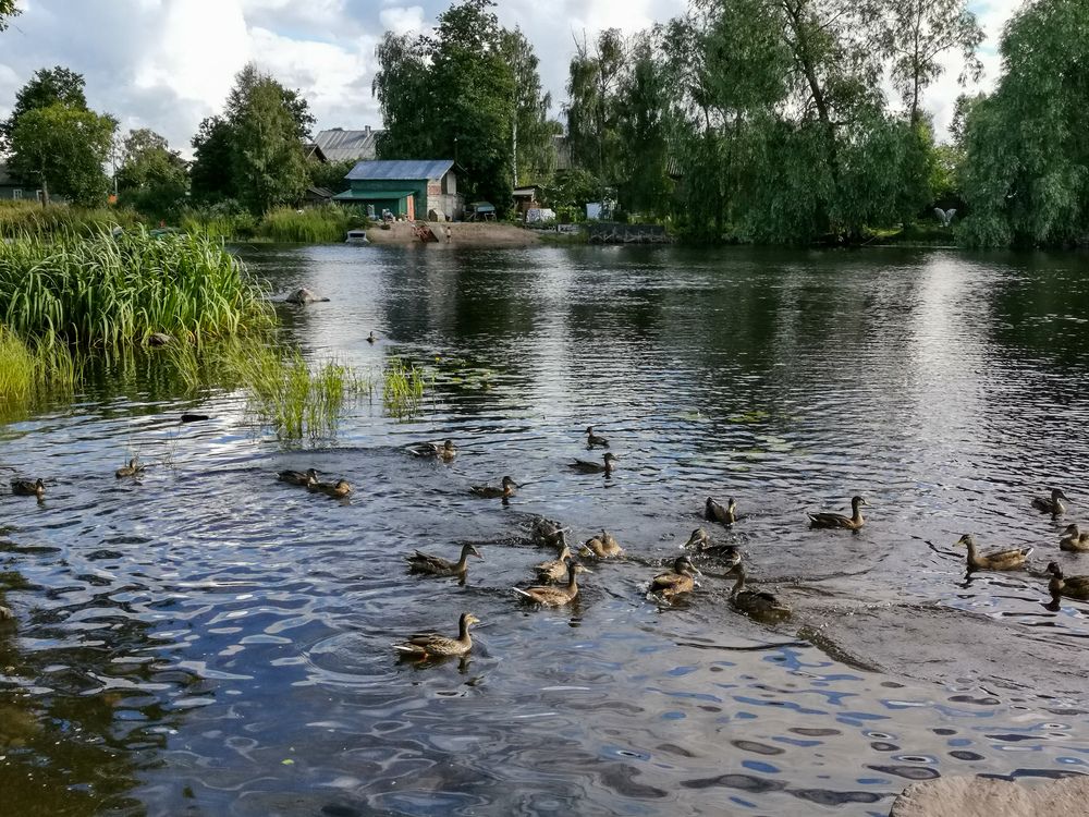 Photograph by Наталия Березина