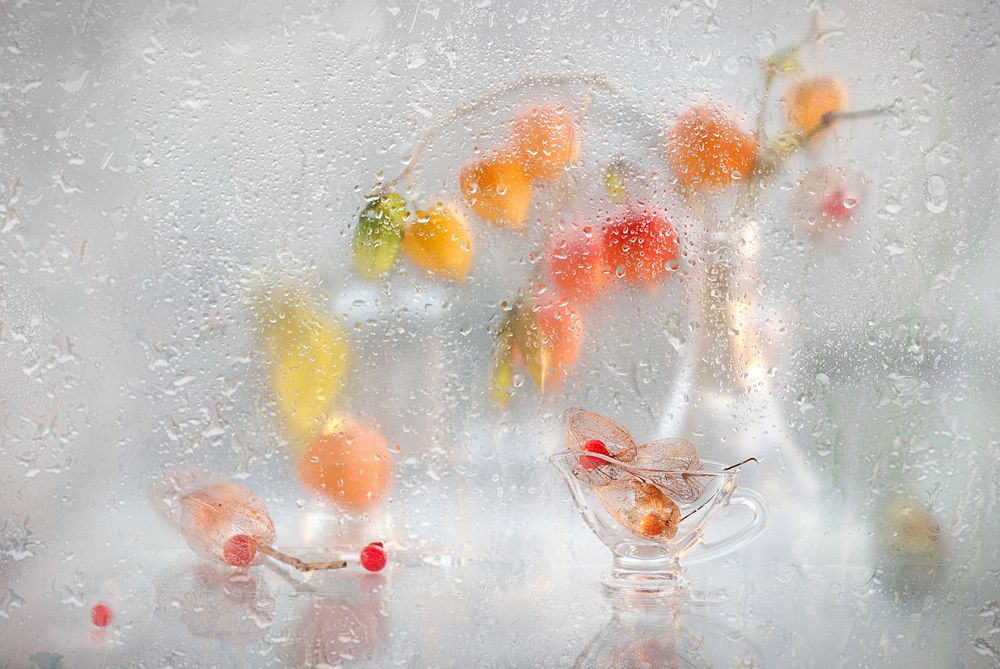 Фотография автора Шруб (Беляева) Татьяна