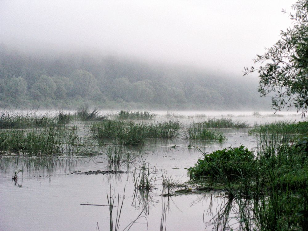 Photograph by Михаил Янкин