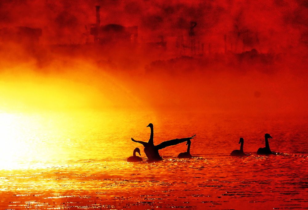 Photograph by Александр Лазебник