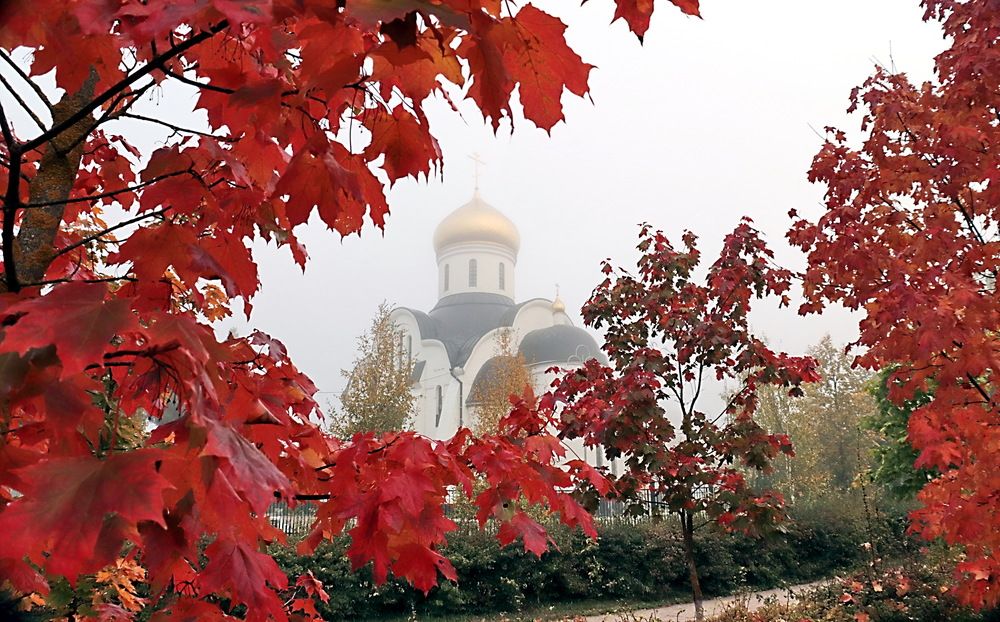 Photograph by Александр Лазебник