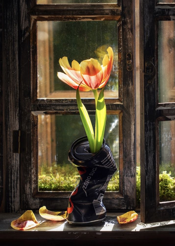 Photograph by Olga Schmidt