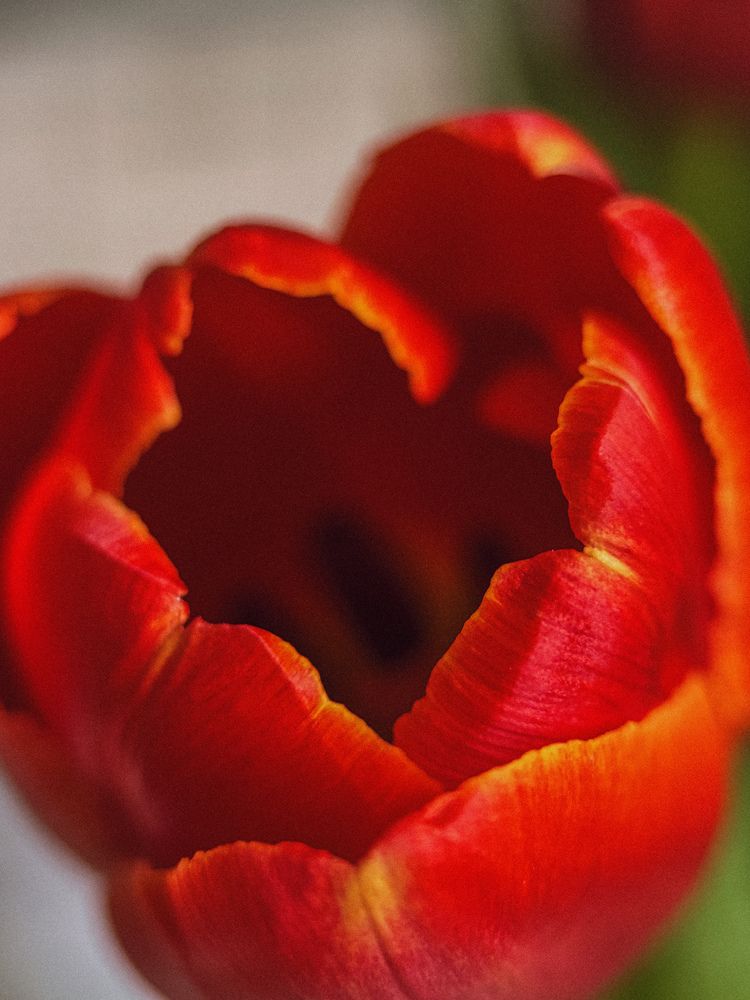 Photograph by Александра Кишикова