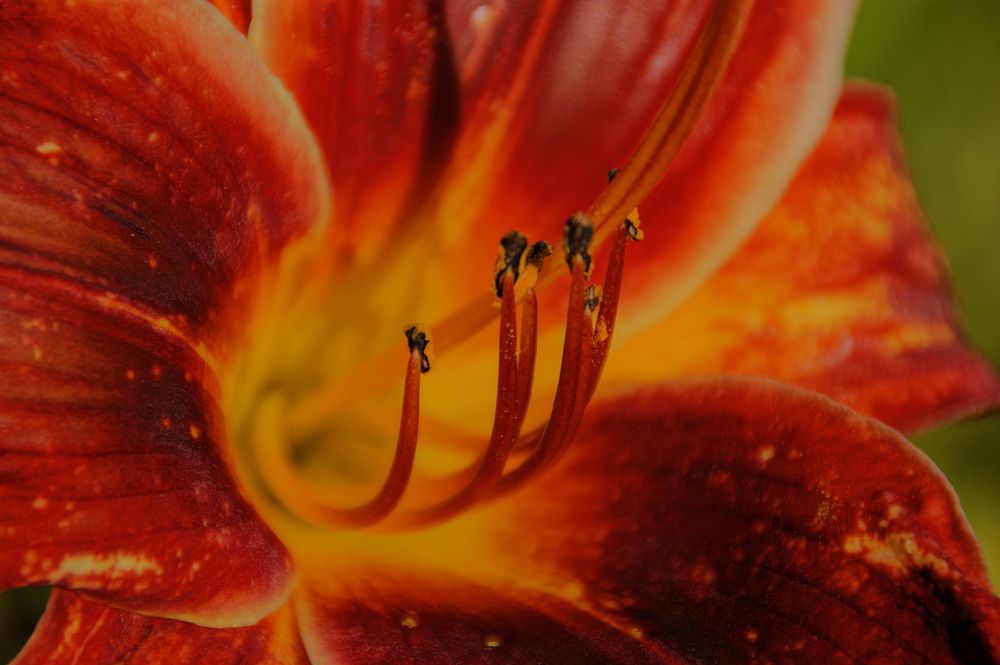Photograph by Sergej Roor