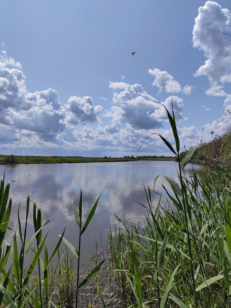 Photograph by Ульяна Кузьмина