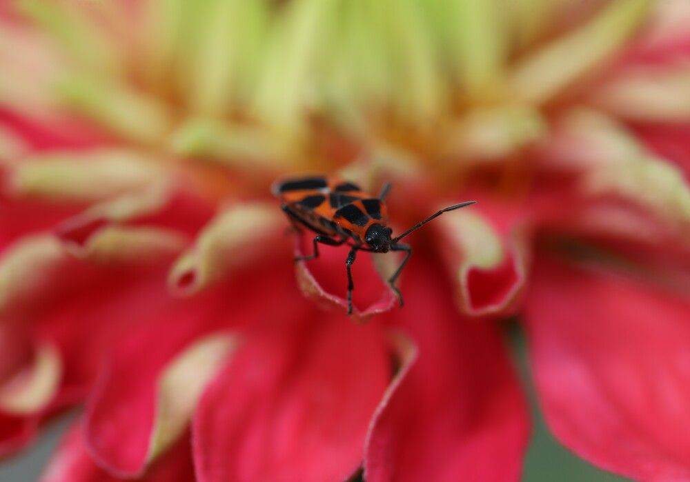 Фотография автора Tatyana Salieva