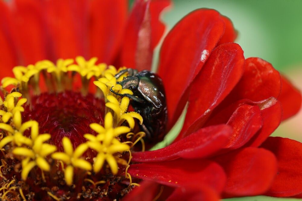 Фотография автора Tatyana Salieva