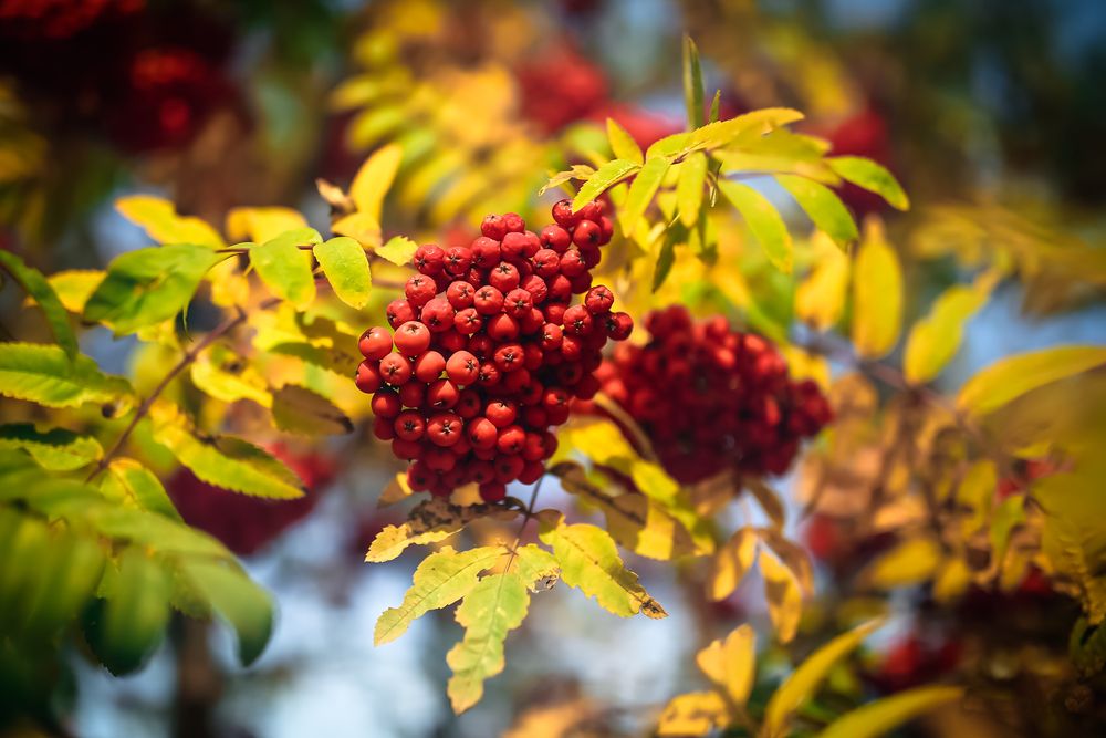 Photograph by Владимир Говоров