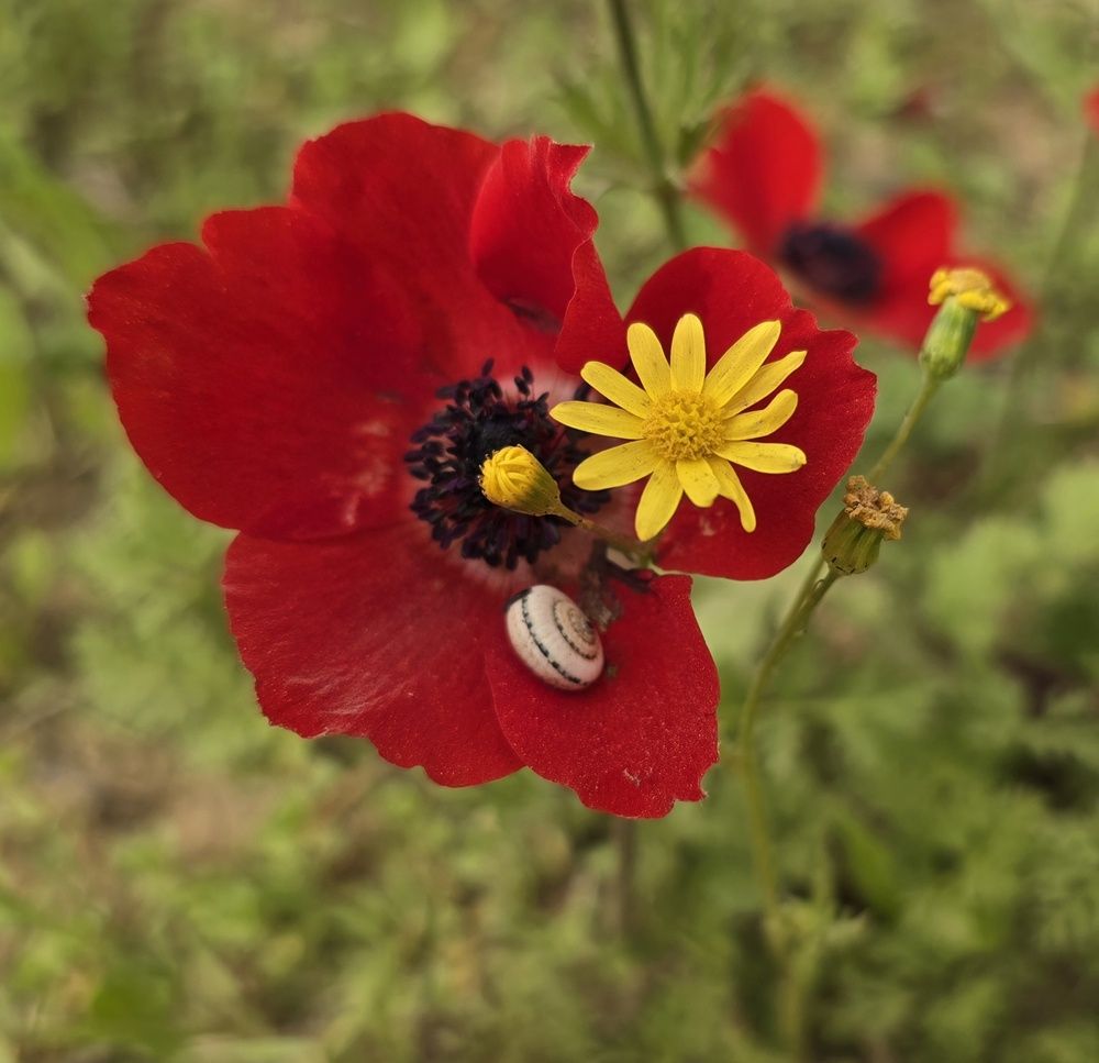 Фотография автора Yulia Rotbach