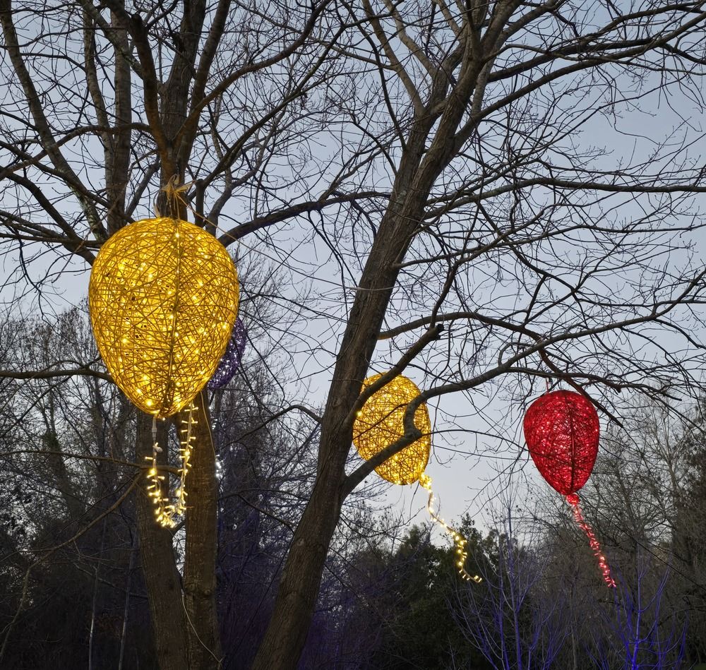 Фотография автора Yulia Rotbach