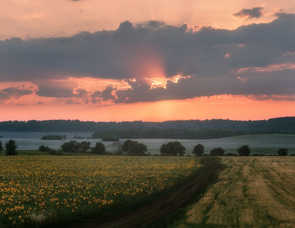 Photograph by Светлана Урманцева