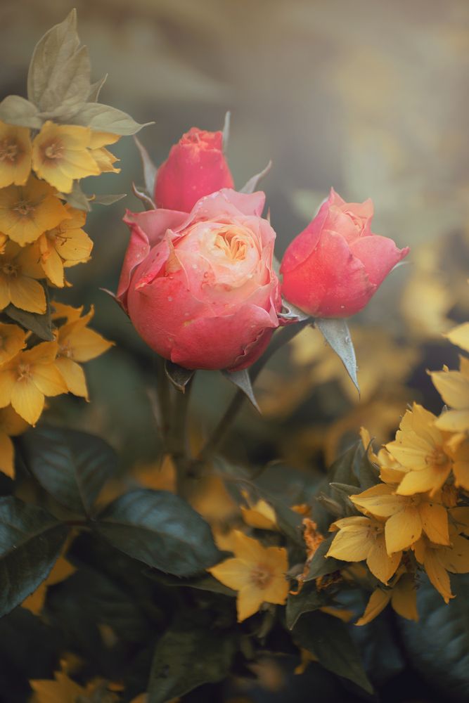 Photograph by Valeria Azamat