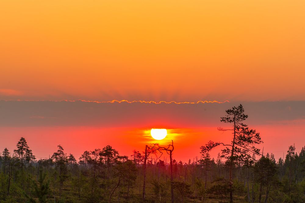 Photograph by Литвинов Александр