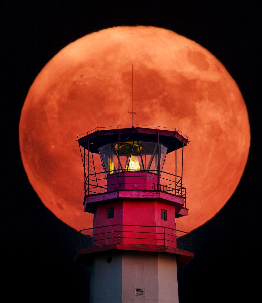 Photograph by Владимир Сковородников