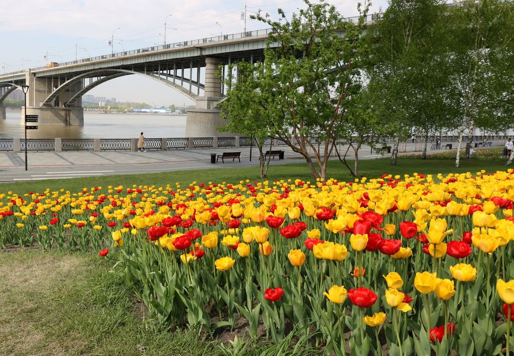 Украшение города