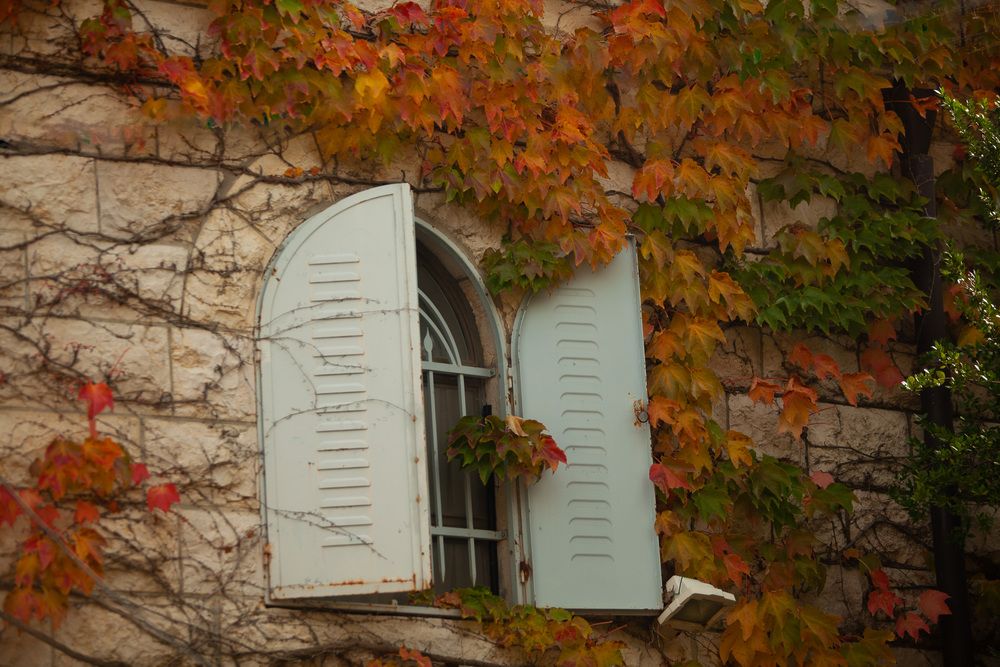 Photograph by Трегубов Лада