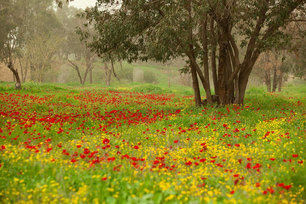 Photograph by Трегубов Лада