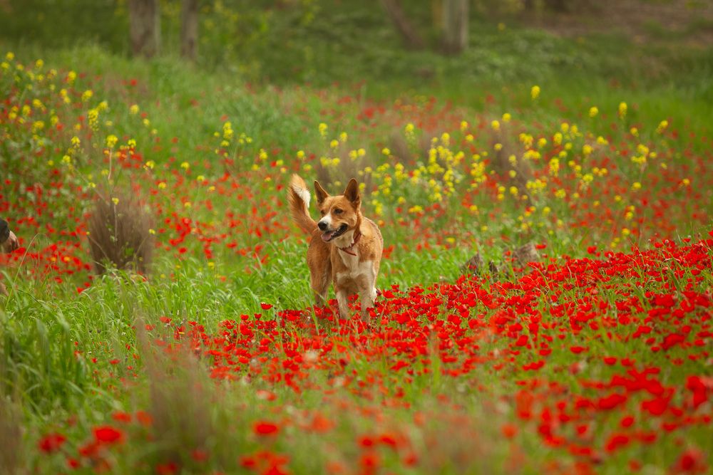 Photograph by Трегубов Лада