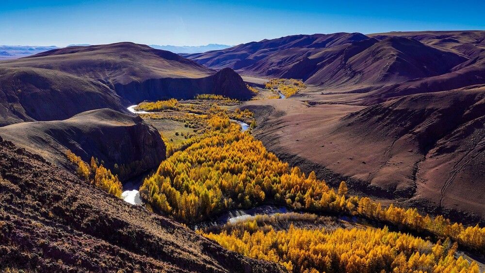 Photograph by Андрей