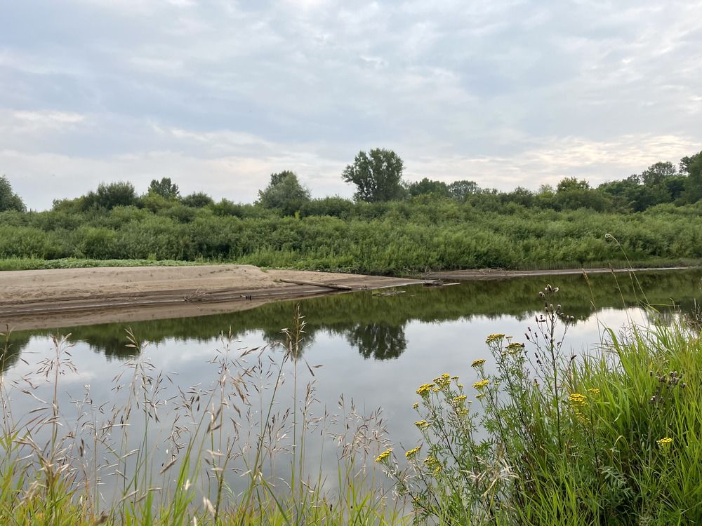 Photograph by Ирина Селиверстова