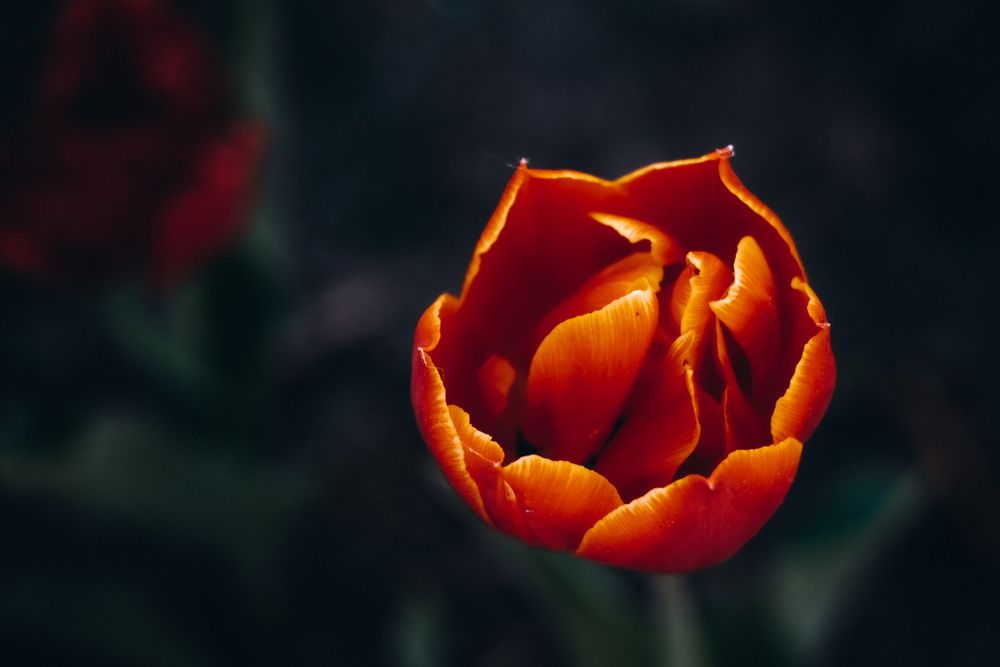 Photograph by Александра Плискова