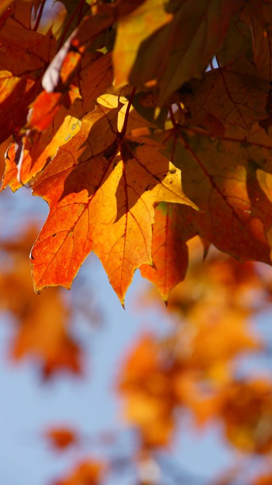 Photograph by Фролов Антон