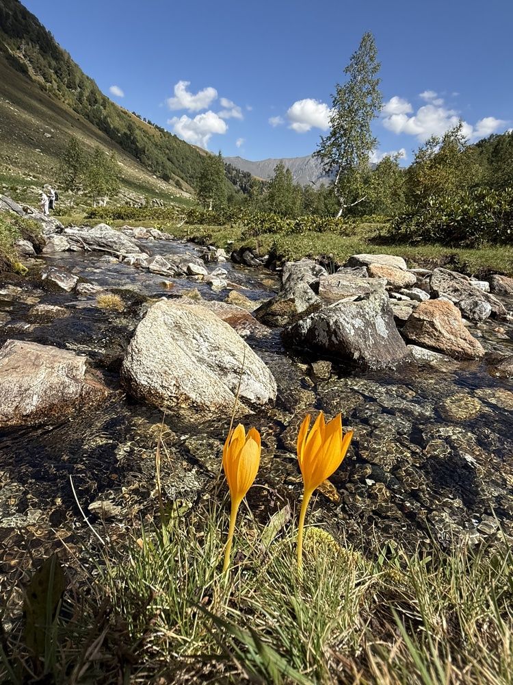 Photograph by Inna Shevchenko