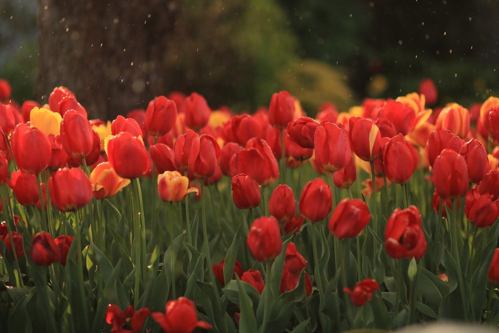 Photograph by Светлана Богомолова