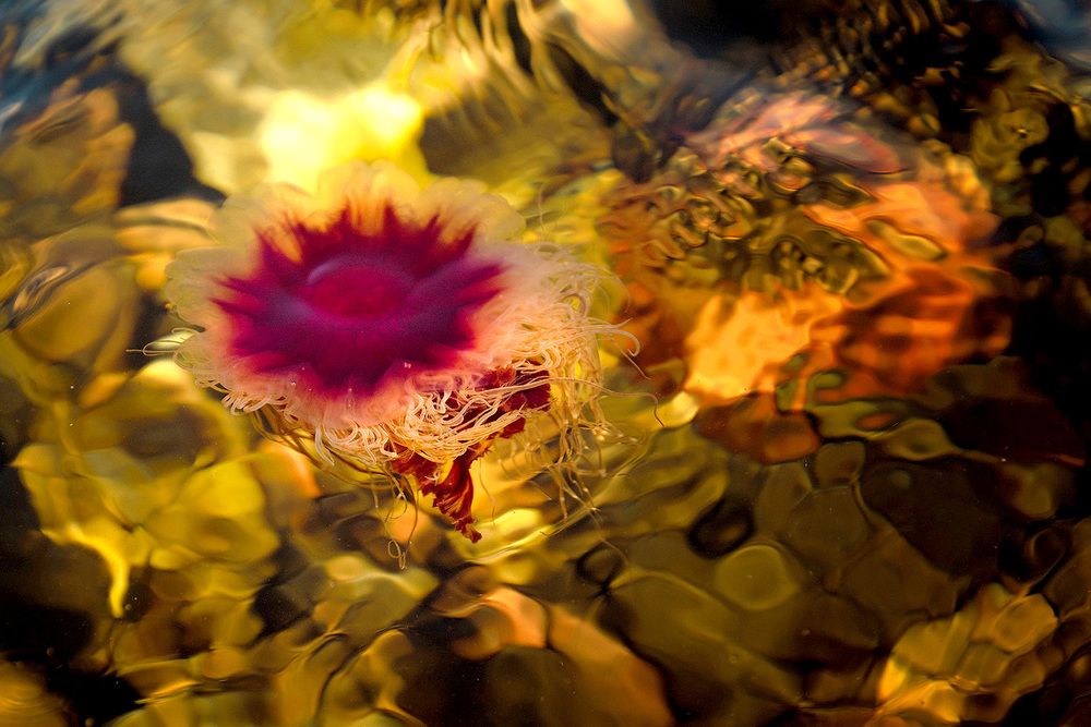 Фотография автора Коцюрба Татьяна