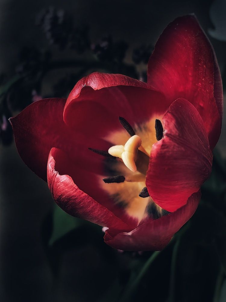 Photograph by Ярославна