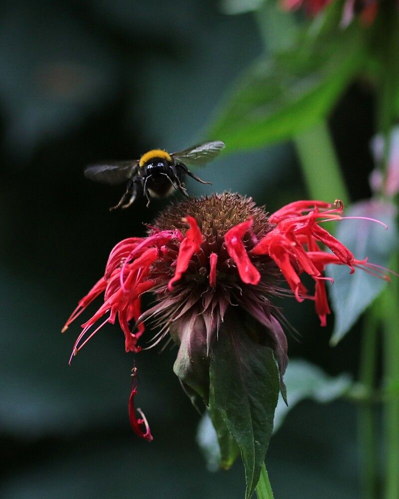 Photograph by Светлана Богомолова