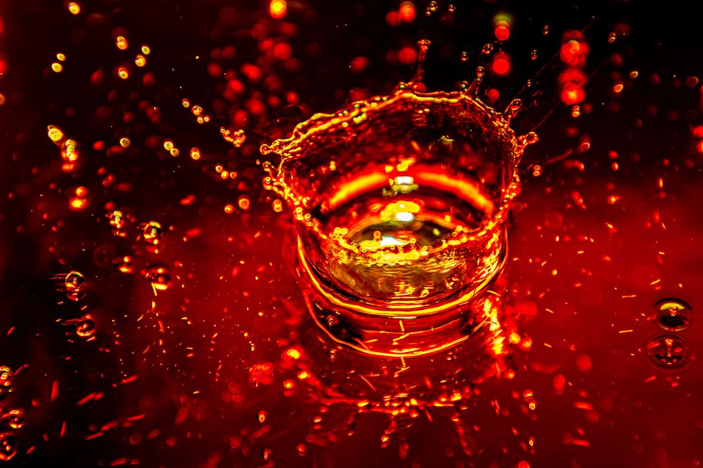 Фотография автора Павел Ващилов