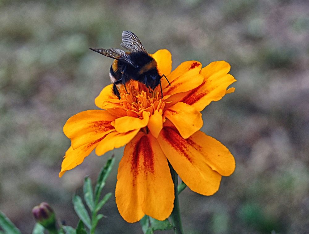 Photograph by Игорь Галеев