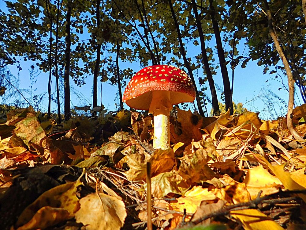 Photograph by Игорь Галеев