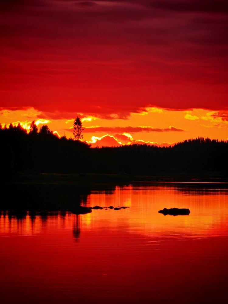 Photograph by OLga Piirainen