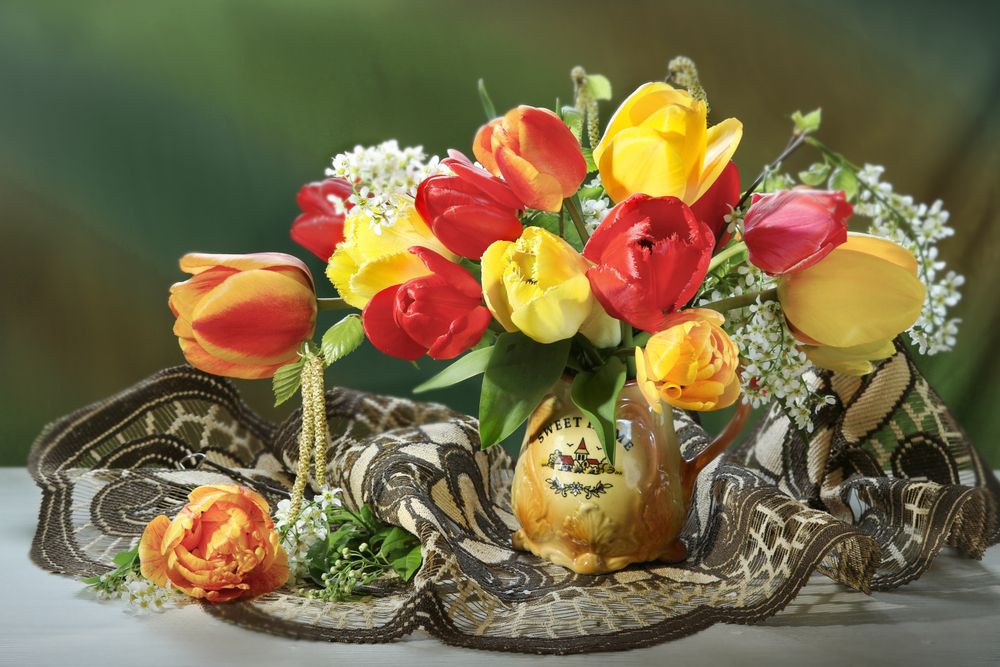 Фотография автора Шруб (Беляева) Татьяна