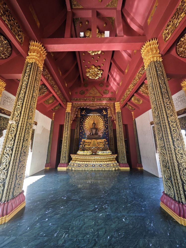 Фотография автора Ася Титова