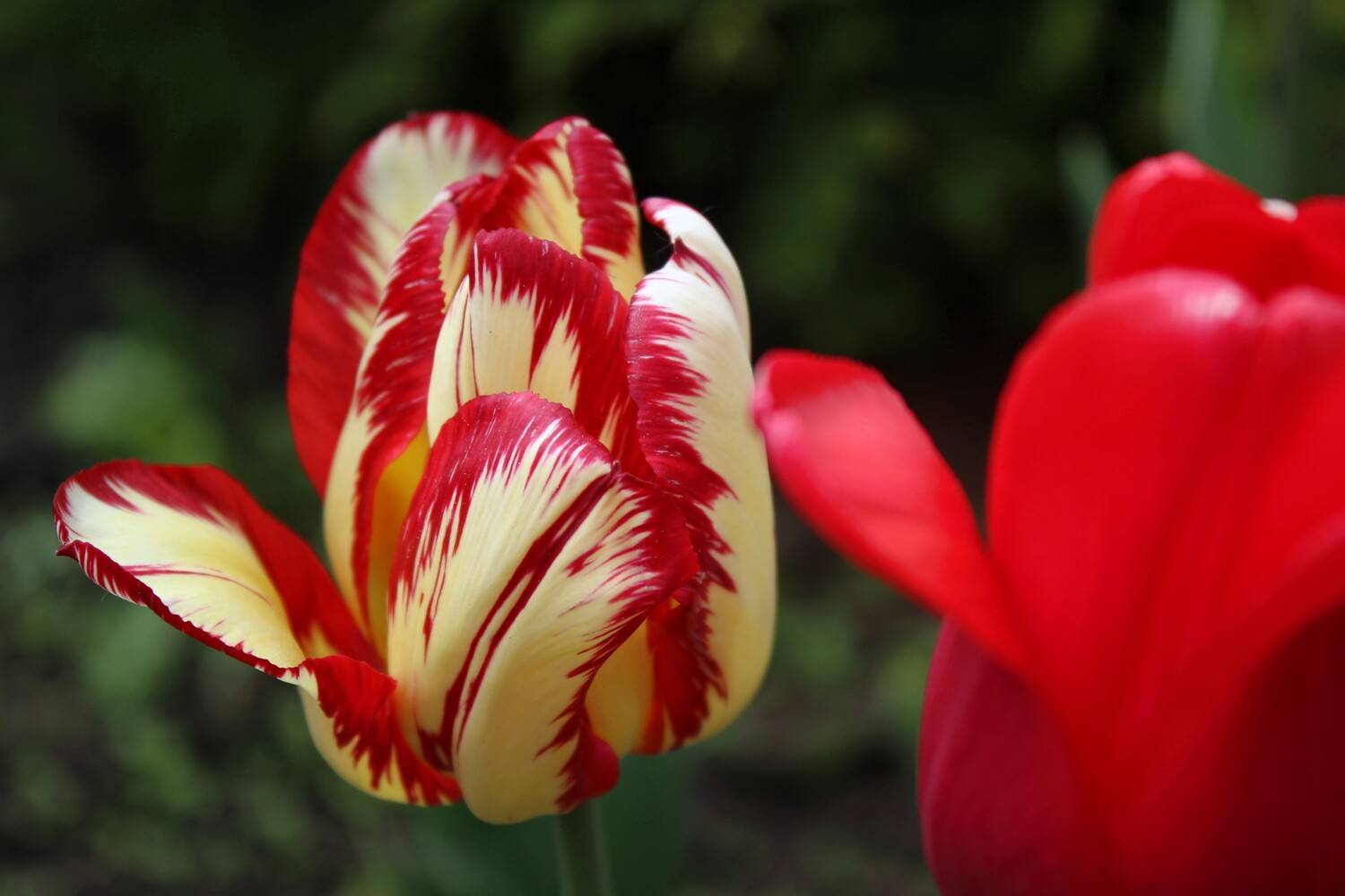 Фотография #13417185