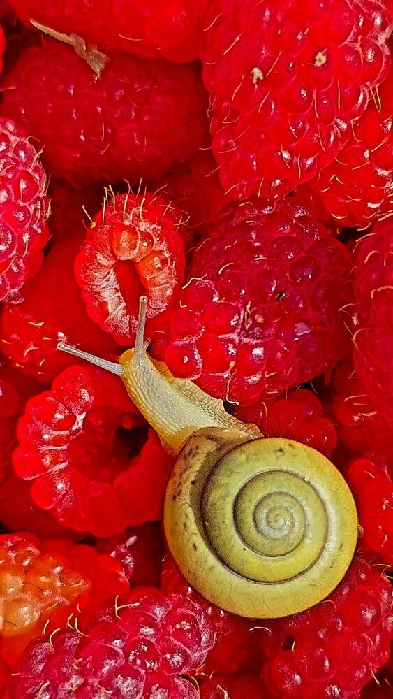 Photograph by Галина Мазур