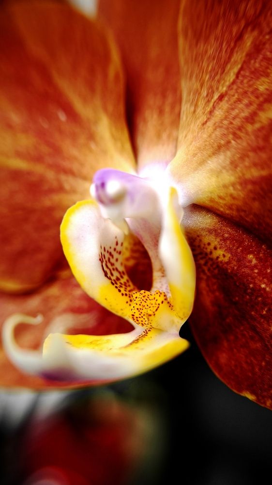 Photograph by Eugenia Blinova