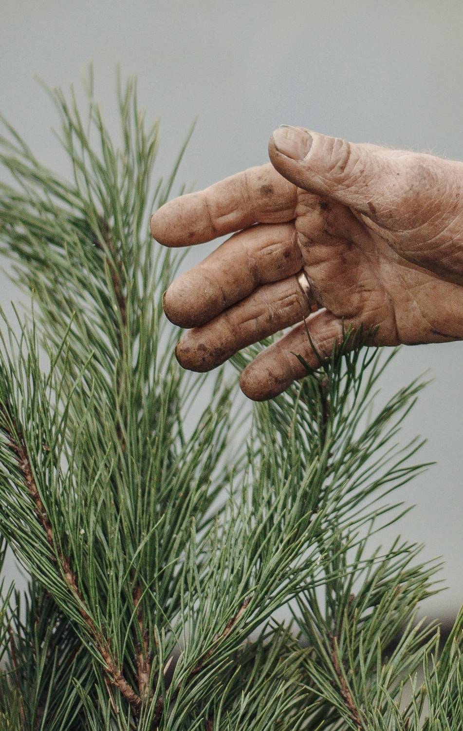 Фотография #13417208