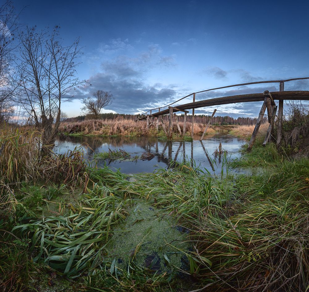 Photograph by Андреев Николай