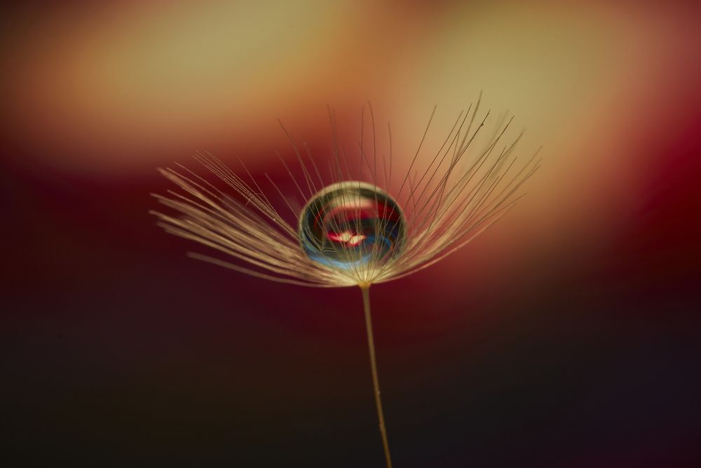 Photograph by John Doe