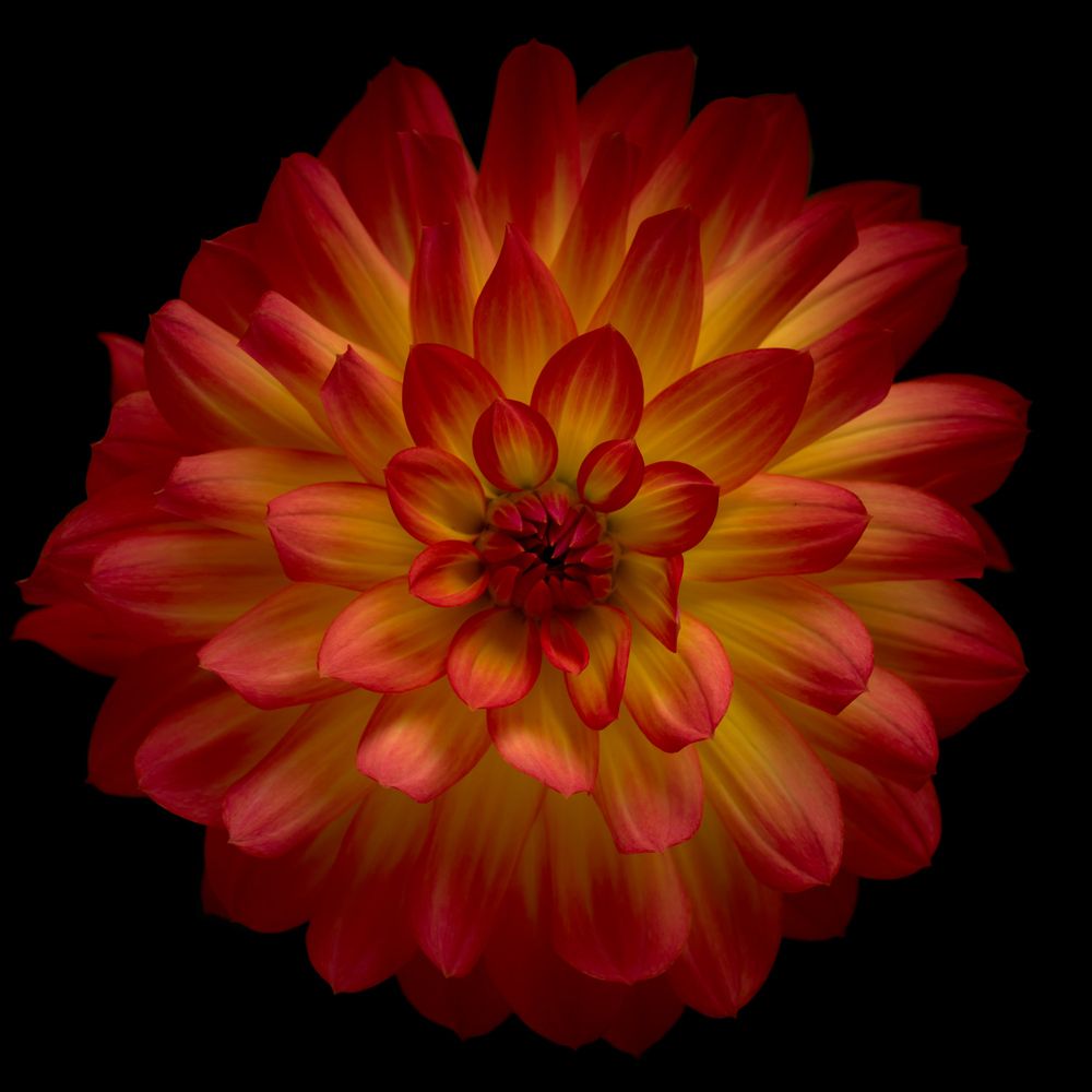 Photograph by John Doe