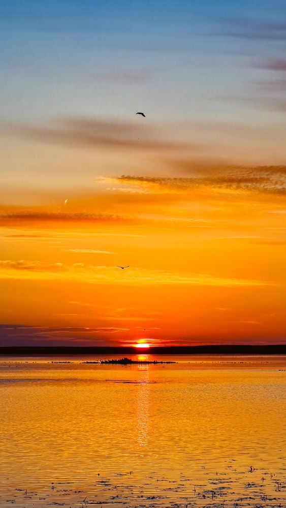 Photograph by Ольга Бибекина