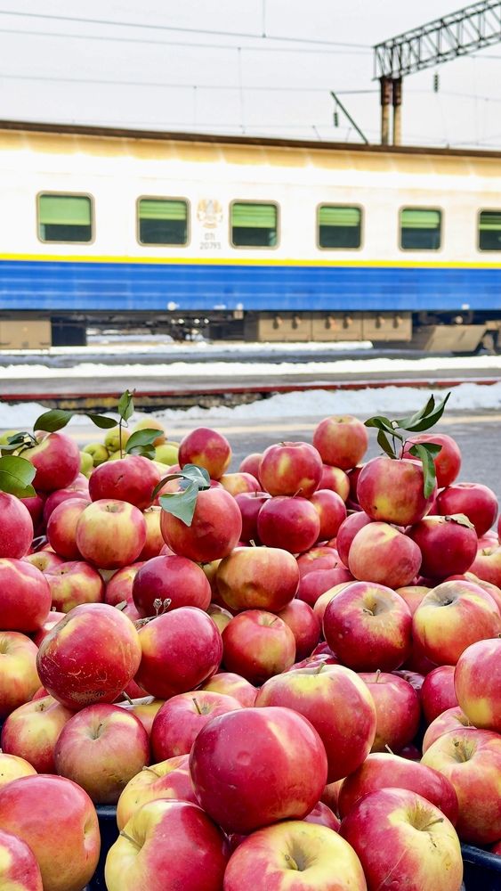 Photograph by Ольга Бибекина