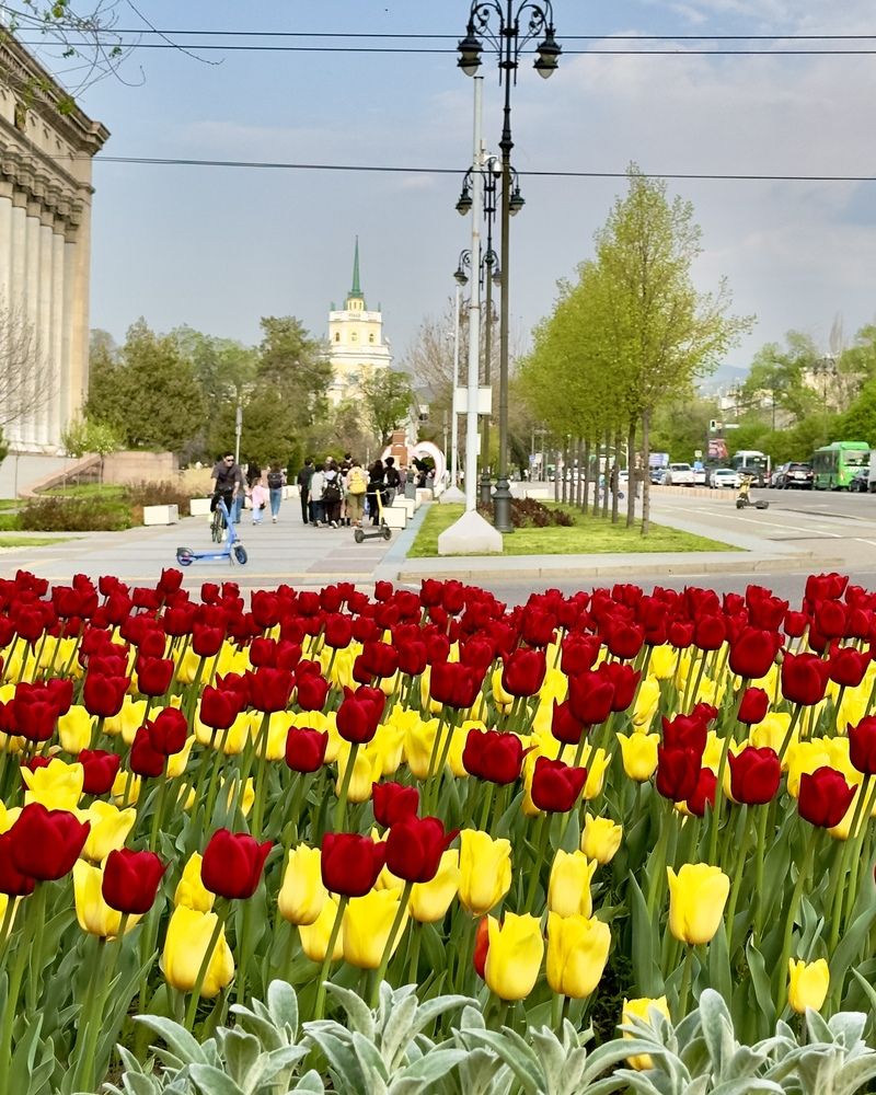 Photograph by Ольга Бибекина